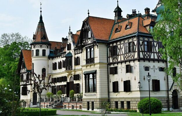 Скільки коштує заміна електролічильника: поради та витрати RemontDim