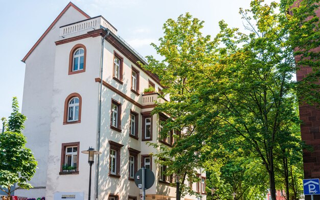 Жалюзі зі шпалер: покрокова інструкція з фото від RemontDim